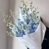 Delphinium 9