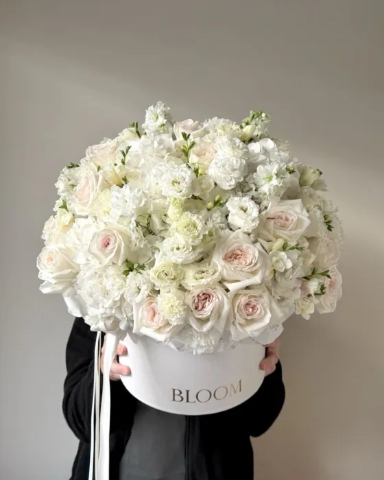 box Pure Elegance grande