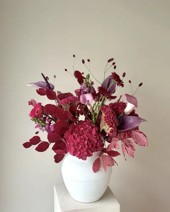 eko bordo medium
