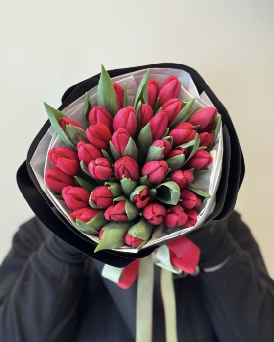 Czerwone tulipany 35