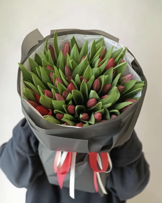 Czerwone-tulipany-51