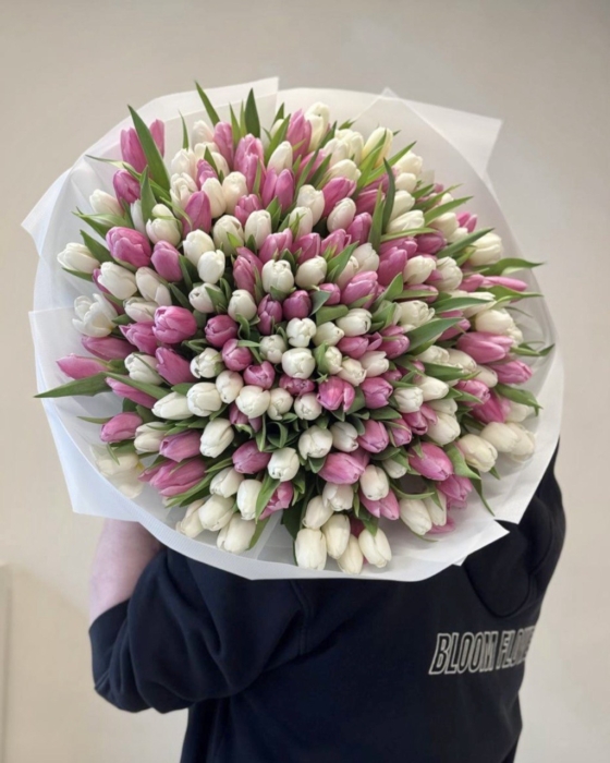 Biało-różowe tulipany 201