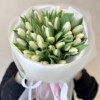 Tulipany białe 35