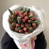 columbus tulipany 35