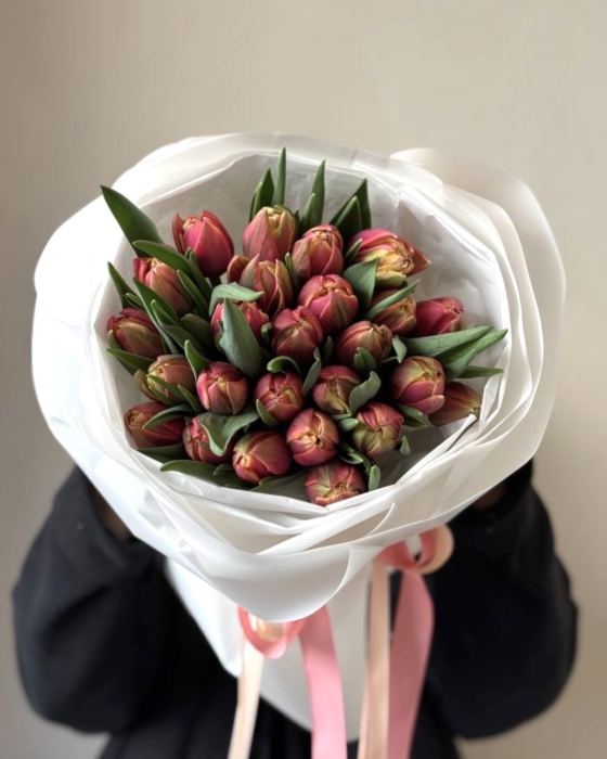 columbus tulipany 35