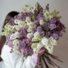 lilac, lilak