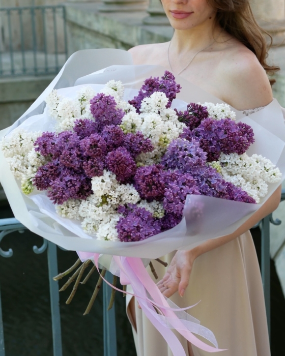 lilac, lilak