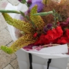 Vivid Mirage medium 3