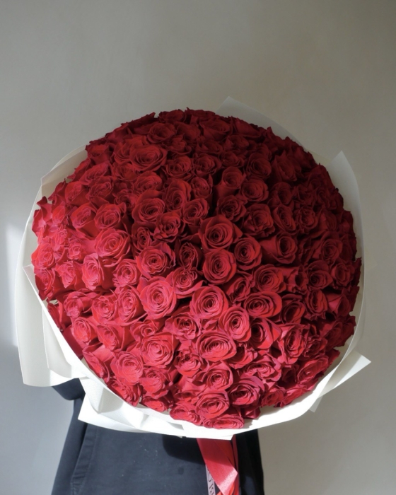 151 czerwona roza