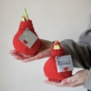Amarylis cybulka red