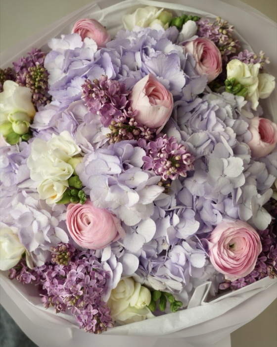 lavender dream xxxx