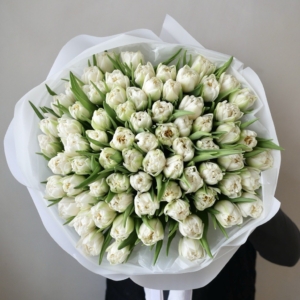 Białe Tulipany Pęłne