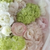 Blushing Spring