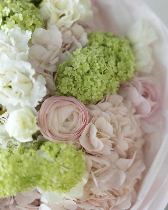 Blushing Spring