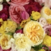 Bouquet „Sweet Blossom”