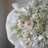 Bukiet White lilac xxxx