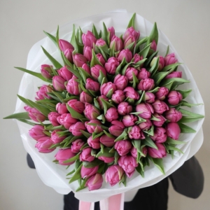 Malinowe-Tulipane-Pełne