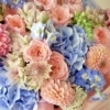 Peach blue xxx