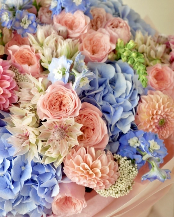 Peach blue xxx