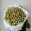 Pomarańczowe tulipany pełne