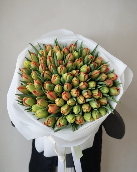Pomarańczowe tulipany pełne 75