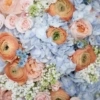 Powder Blue Peach» Bouquet