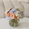 Powder Blue Peach xx