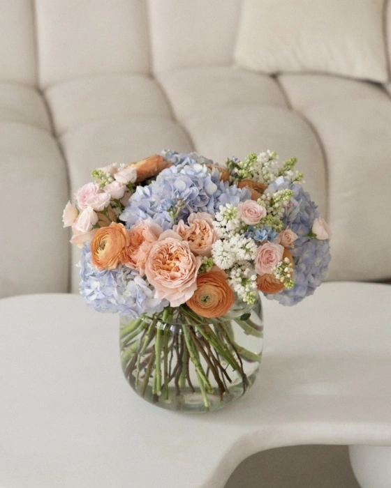 Powder Blue Peach xx