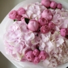 Bukiet Peony Muse xxx