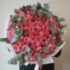coral-bloom