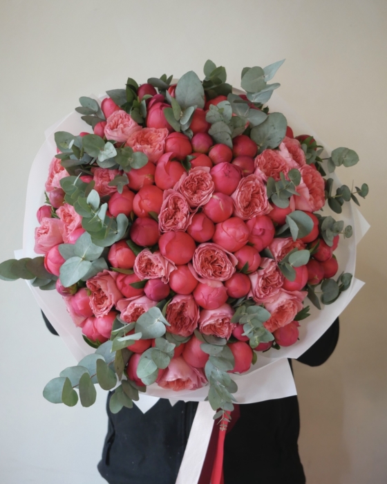 coral-bloom