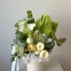 tender grace s