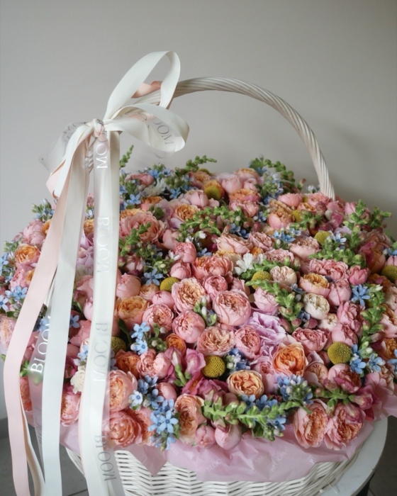 Juliet garden tlo