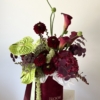 Dark Botanica tlo