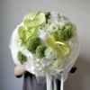 Lime mist tlo