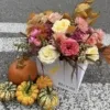 Autumn Melody xxx