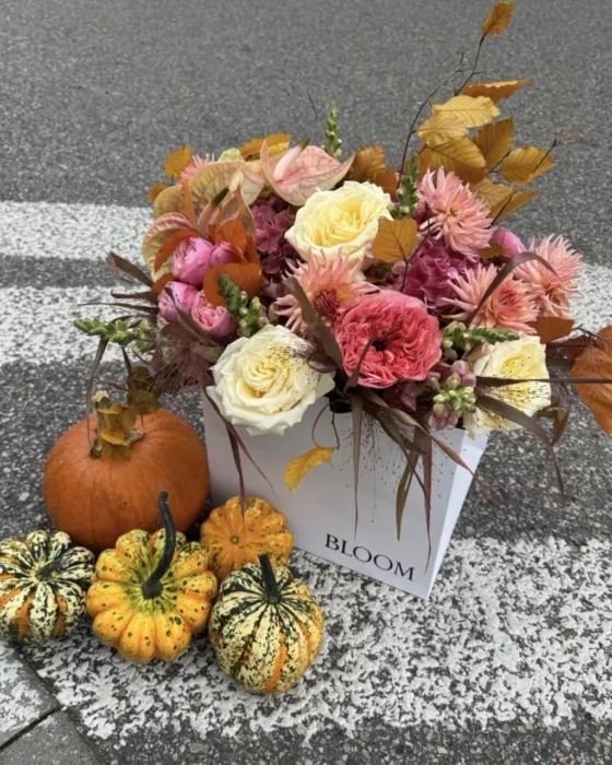 Autumn Melody xxx