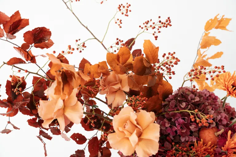 banner eco