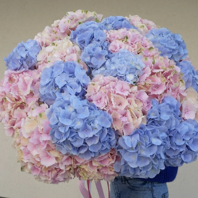 Bukiet Hortensji Bloomflowers pl bukiet-hortensji-bloomflowers-pl