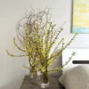 wiosenne gałązki do wazonu
